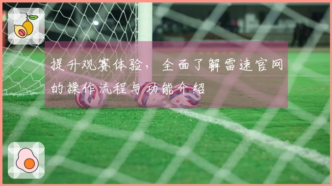 提升观赛体验，全面了解雷速官网的操作流程与功能介绍